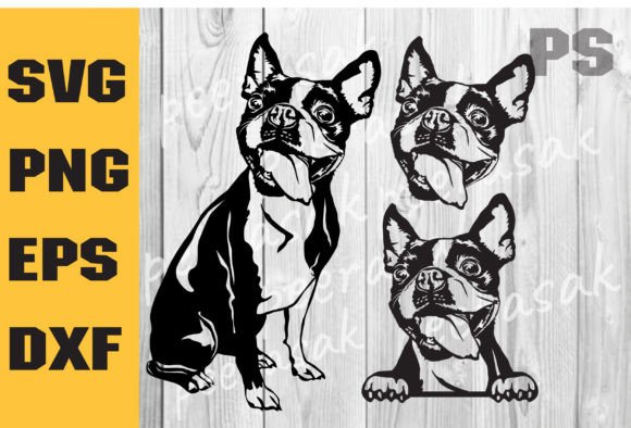 Boston Terrier Svg for Embroidery